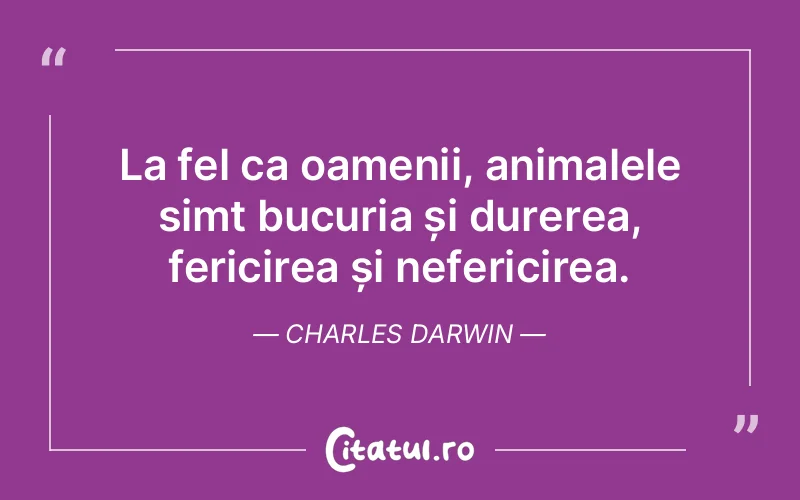 La fel ca oamenii, animalele simt bucuria și durerea, fericirea și nefericirea. Charles Darwin