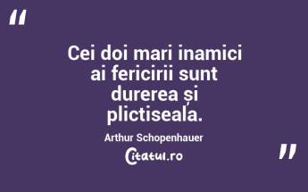 Cei doi mari inamici ai fericirii sunt durerea și plictiseala. Arthur Schopenhauer...