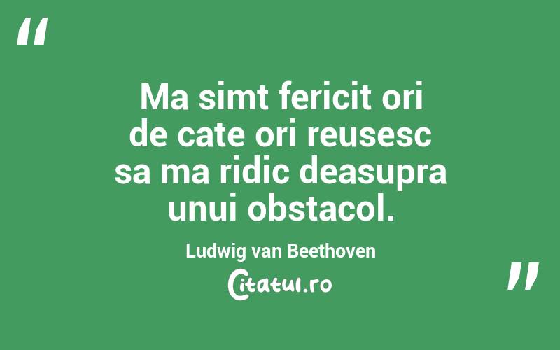 Ma simt fericit ori de cate ori reusesc sa ma ridic deasupra unui obstacol. Ludwig van Beethoven