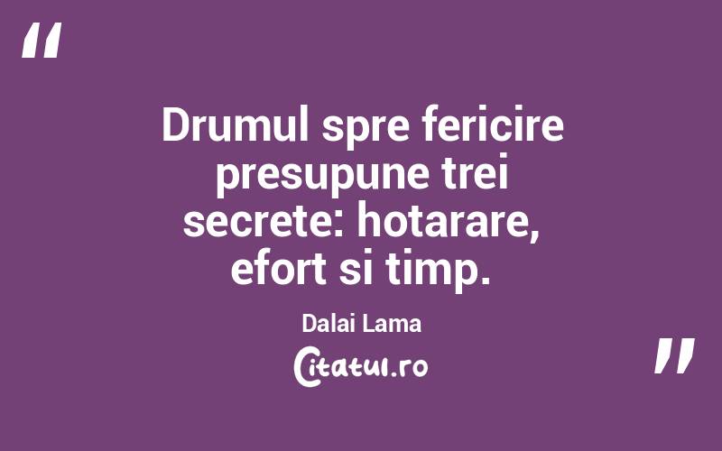 Drumul spre fericire presupune trei secrete: hotarare, efort si timp. Dalai Lama