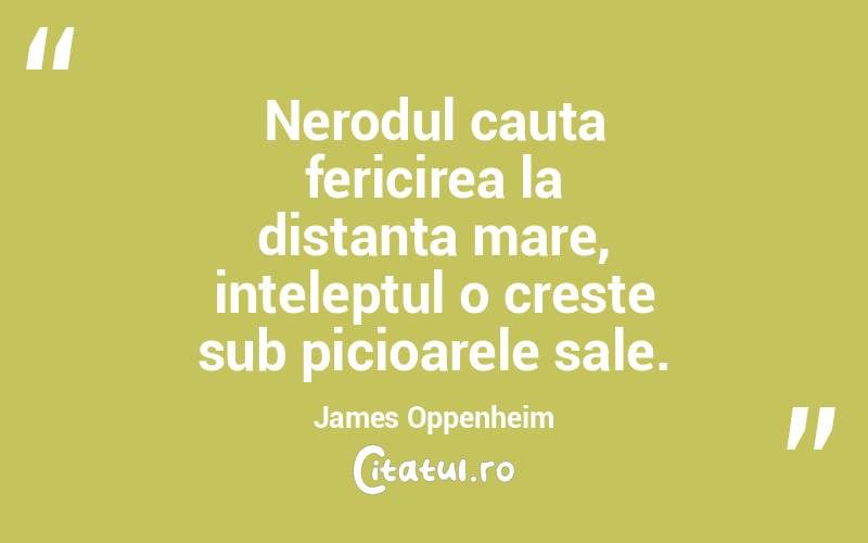 Nerodul cauta fericirea la distanta mare, inteleptul o creste sub picioarele sale. James Oppenheim
