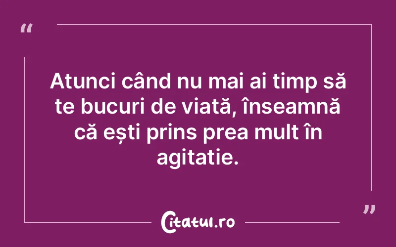 Atunci când nu mai ai timp să te bucuri de viață, înseamnă că ești prins prea mult în agitație.