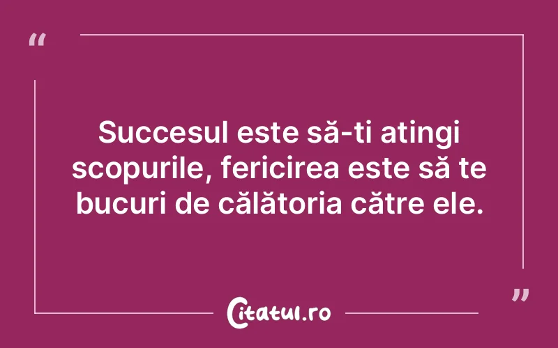 Succesul este să-ți atingi scopurile, fericirea este să te bucuri de călătoria către ele.