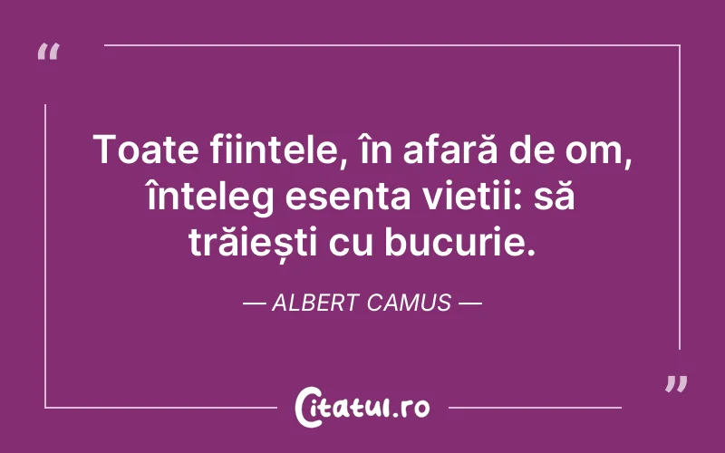 Toate ființele, în afară de om, înțeleg esența vieții: să trăiești cu bucurie. Albert Camus