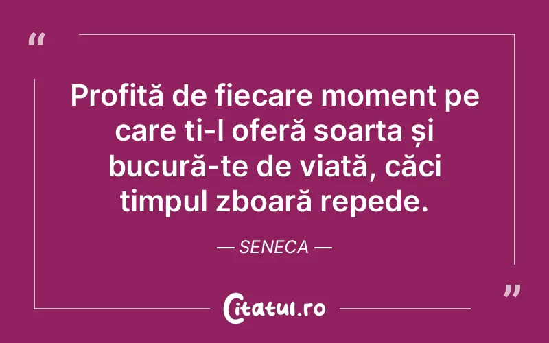 Profită de fiecare moment pe care ți-l oferă soarta și bucură-te de viață, căci timpul zboară repede. Seneca