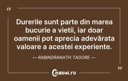 Citeste si: Durerile sunt parte din marea bucurie a ...