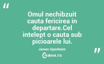 Omul nechibzuit cauta fericirea in departare.Cel intelept o cauta sub picioarele lui. James Openheim...