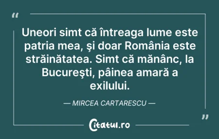 Citeste si: Uneori simt că întreaga lume este patria...