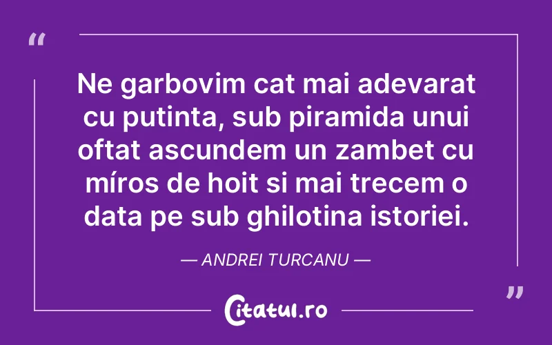 Ne garbovim cat mai adevarat cu putinta, sub piramida unui oftat ascundem un zambet cu míros de hoit si mai trecem o data pe sub ghilotina istoriei. Andrei Turcanu