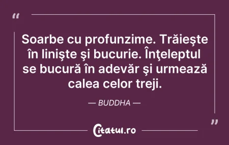 Citeste si: Soarbe cu profunzime. Trăieşte în linişt...