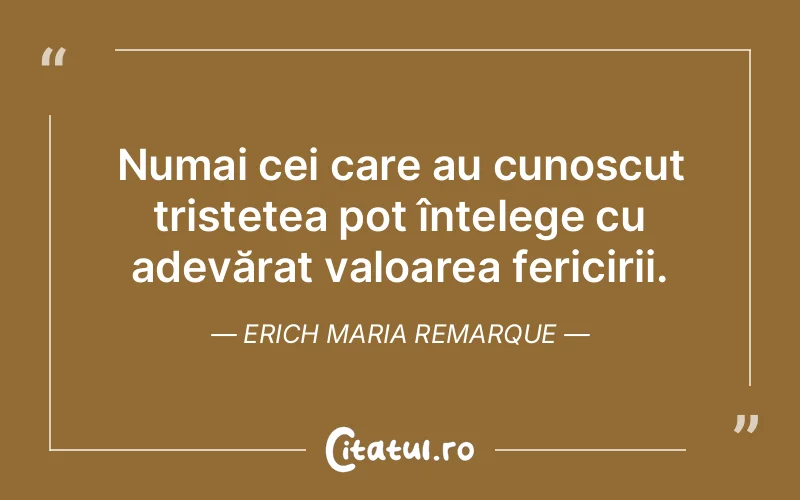 Numai cei care au cunoscut tristețea pot înțelege cu adevărat valoarea fericirii. Erich Maria Remarque