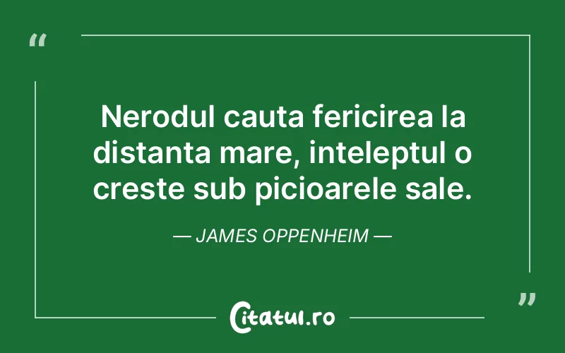 Nerodul cauta fericirea la distanta mare, inteleptul o creste sub picioarele sale. James Oppenheim