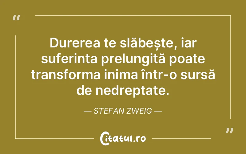 Durerea te slăbește, iar suferința prelungită poate transforma inima într-o sursă de nedreptate. Stefan Zweig