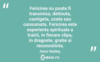 Fericirea nu poate fi transmisa, detinuta, castigata, uzata sau consumata. Fericirea este experienta spirituala a trairii, in fiecare clipa, in dragoste, gratie si recunostinta. Denis Waitley...