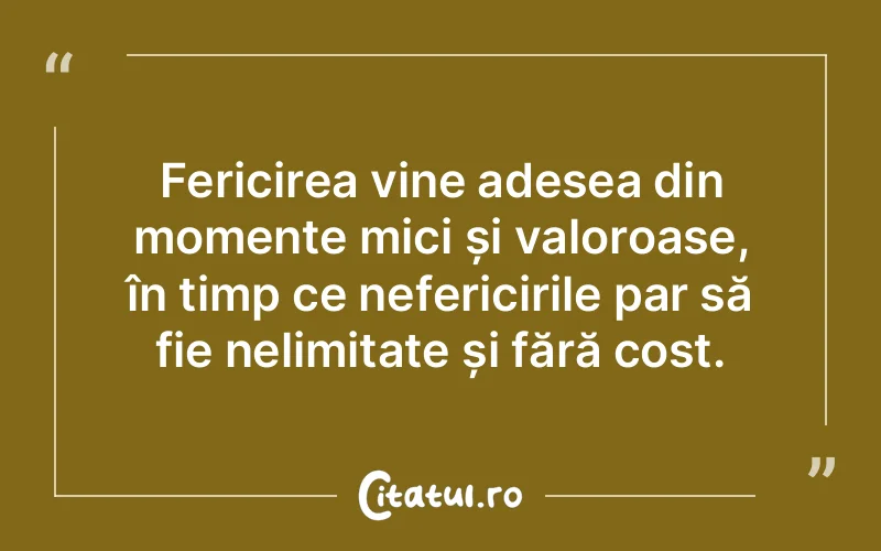 Fericirea vine adesea din momente mici și valoroase, în timp ce nefericirile par să fie nelimitate și fără cost.