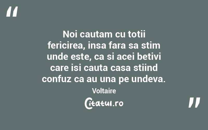 Noi cautam cu totii fericirea, insa fara sa stim unde este, ca si acei betivi care isi cauta casa stiind confuz ca au una pe undeva. Voltaire
