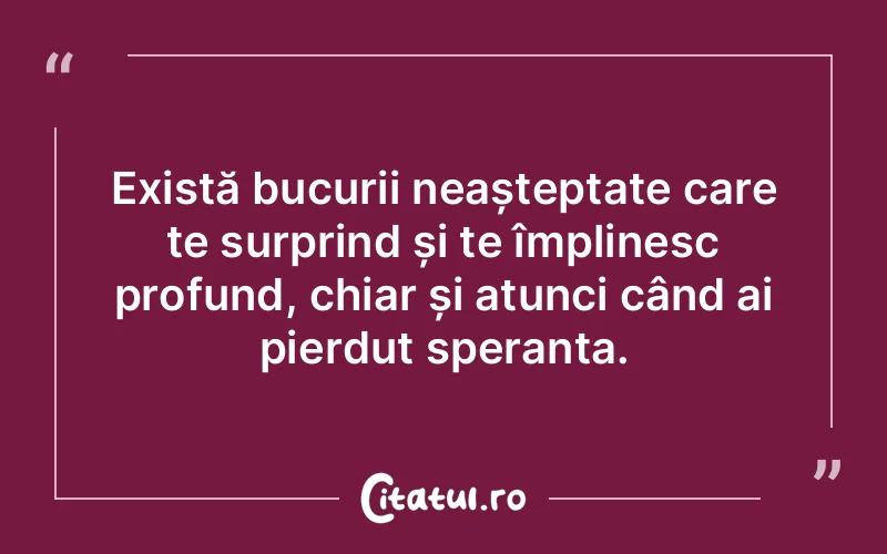 Există bucurii neașteptate care te surprind și te împlinesc profund, chiar și atunci când ai pierdut speranța.