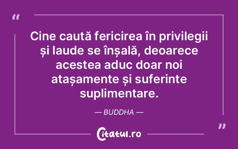 Cine caută fericirea în privilegii și laude se înșală, deoarece acestea aduc doar noi atașamente și suferințe suplimentare. Buddha
