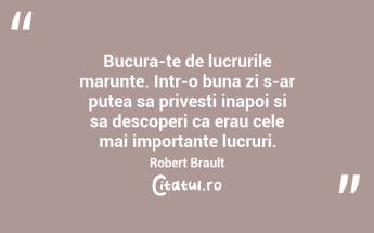 Bucura-te de lucrurile marunte. Intr-o buna zi s-ar putea sa privesti inapoi si sa descoperi ca erau cele mai importante lucruri. Robert Brault...