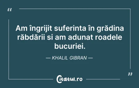 Citeste si: Am îngrijit suferința în grădina răbdări...
