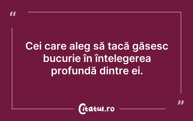 Cei care aleg să tacă găsesc bucurie în înțelegerea profundă dintre ei.