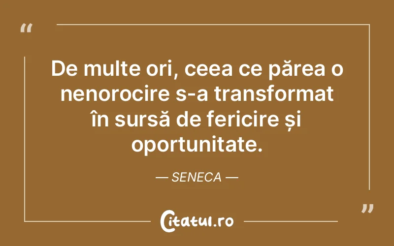 De multe ori, ceea ce părea o nenorocire s-a transformat în sursă de fericire și oportunitate. Seneca