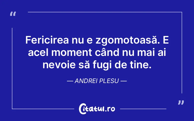 Fericirea nu e zgomotoasă. E acel moment când nu mai ai nevoie să fugi de tine. Andrei Plesu