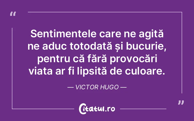 Sentimentele care ne agită ne aduc totodată și bucurie, pentru că fără provocări viața ar fi lipsită de culoare. Victor Hugo