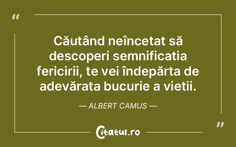 Căutând neîncetat să descoperi semnificația fericirii, te vei îndepărta de adevărata bucurie a vieții. Albert Camus