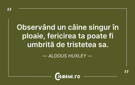 Citeste si: Observând un câine singur în ploaie, fer...