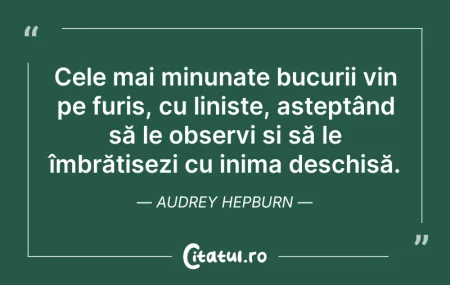 Citeste si: Cele mai minunate bucurii vin pe furiș, ...