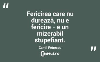 Fericirea care nu durează, nu e fericir...