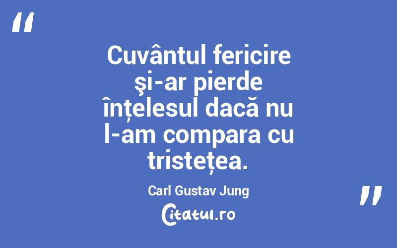 Cuvântul fericire şi-ar pierde înţelesul dacă nu l-am compara cu tristeţea. Carl Gustav Jung
