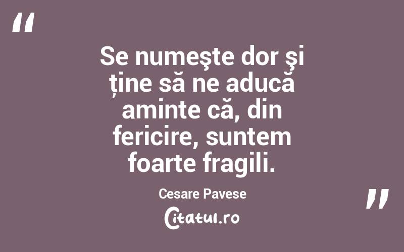 Se numeşte dor şi ţine să ne aducă aminte că, din fericire, suntem foarte fragili. Cesare Pavese
