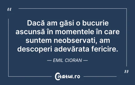 Citeste si: Dacă am găsi o bucurie ascunsă în moment...