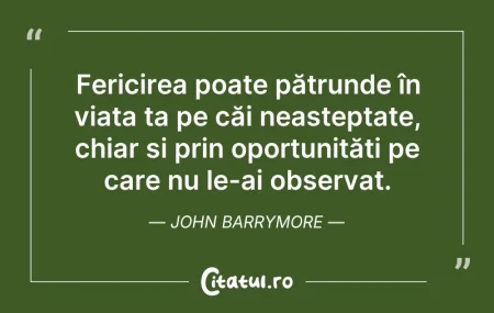 Citeste si: Fericirea poate pătrunde în viața ta pe ...