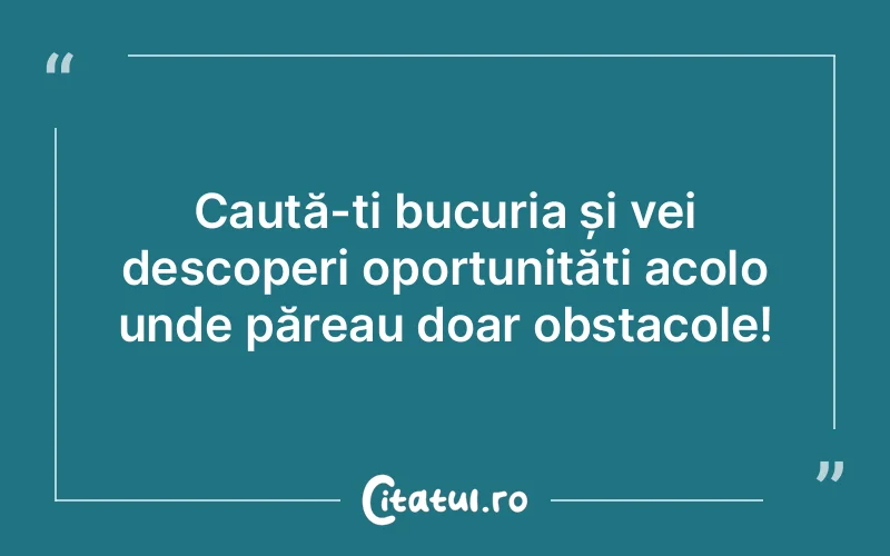 Caută-ți bucuria și vei descoperi oportunități acolo unde păreau doar obstacole!
