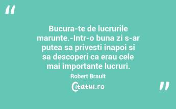 Bucura-te de lucrurile marunte.-Intr-o buna zi s-ar putea sa privesti inapoi si sa descoperi ca erau cele mai importante lucruri. Robert Brault...