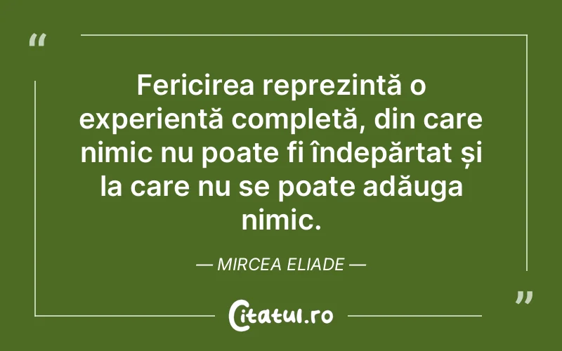 Fericirea reprezintă o experiență completă, din care nimic nu poate fi îndepărtat și la care nu se poate adăuga nimic. Mircea Eliade