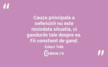 Cauza principala a nefericirii nu este niciodata situatia, ci gandurile tale despre ea. Fii constient de gand. Eckart Tolle...