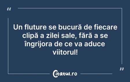 Citeste si: Un fluture se bucură de fiecare clipă a ...