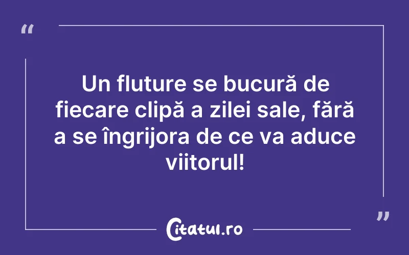 Un fluture se bucură de fiecare clipă a zilei sale, fără a se îngrijora de ce va aduce viitorul!