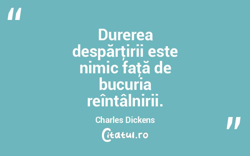 Durerea despărţirii este nimic faţă de bucuria reîntâlnirii. Charles Dickens
