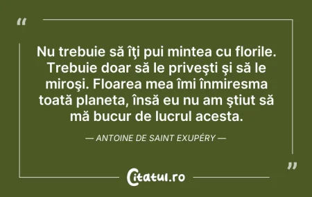 Citeste si: Nu trebuie să îţi pui mintea cu florile....