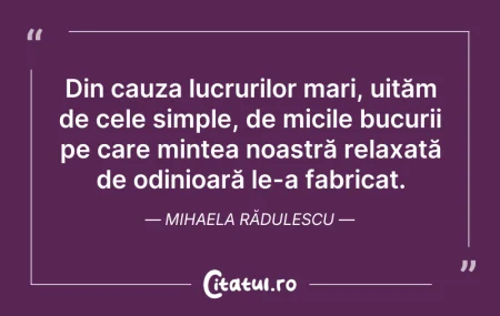 Citeste si: Din cauza lucrurilor mari, uităm de cele...