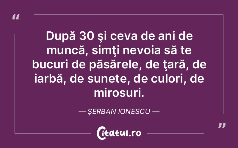 După 30 şi ceva de ani de muncă, simţi nevoia să te bucuri de păsărele, de ţară, de iarbă, de sunete, de culori, de mirosuri. Şerban Ionescu