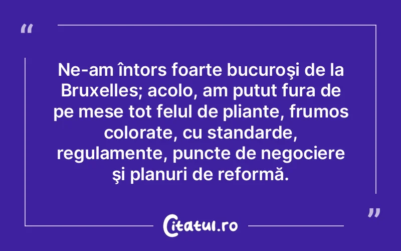 Ne-am întors foarte bucuroşi de la Bruxelles; acolo, am putut fura de pe mese tot felul de pliante, frumos colorate, cu standarde, regulamente, puncte de negociere şi planuri de reformă.