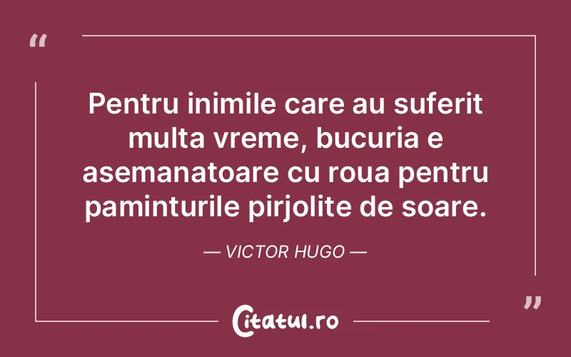 Pentru inimile care au suferit multa vreme, bucuria e asemanatoare cu roua pentru paminturile pirjolite de soare. Victor Hugo
