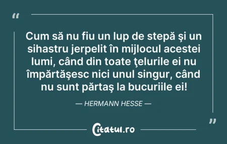 Citeste si: Cum să nu fiu un lup de stepă şi un siha...