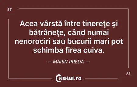 Citeste si: Acea vârstă între tinereţe şi bătrâneţe,...
